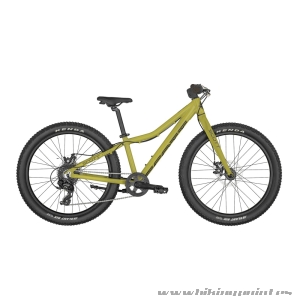 Bicicleta Scott Roxter 24 Green 2023